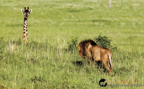 Най-интересните сниМки за днес - 10.06.2010 г.