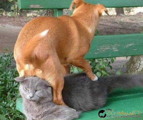 Най-интересните сниМки за днес - 10.06.2010 г.