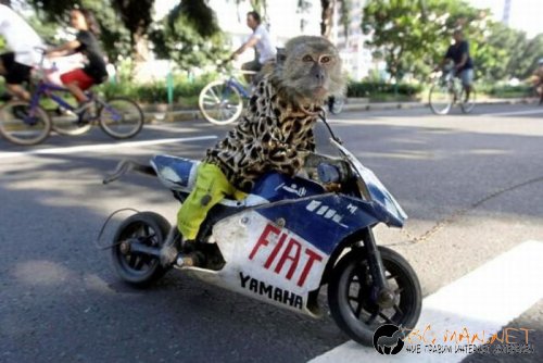 Най-интересните сниМки за днес - 10.06.2010 г.