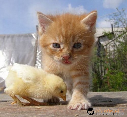 Най-интересните сниМки за днес - 10.06.2010 г.