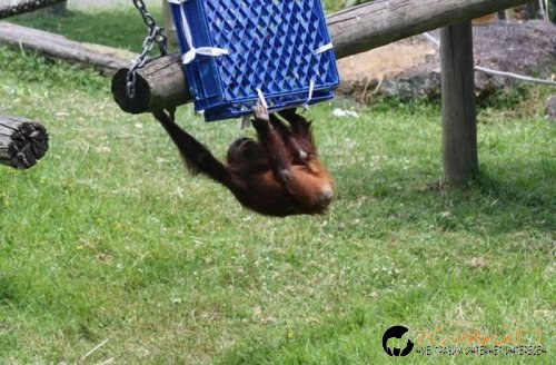 Най-интересните сниМки за днес - 10.06.2010 г.