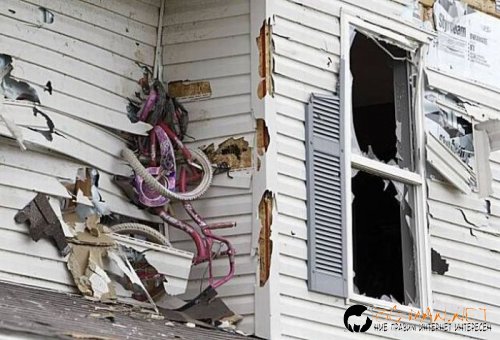 Най-интересните сниМки за днес - 10.06.2010 г.