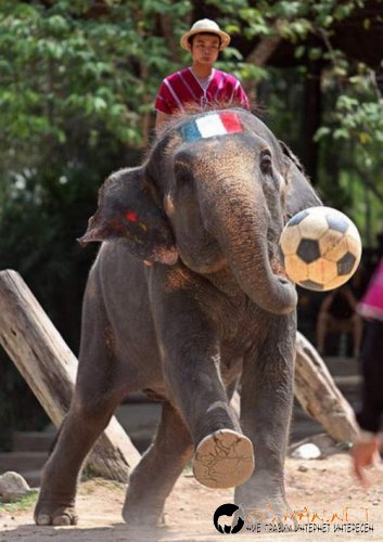 Най-интересните сниМки за днес - 10.06.2010 г.