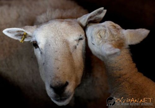 Най-интересните сниМки за днес - 10.06.2010 г.