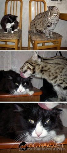 Най-интересните сниМки за днес - 10.06.2010 г.