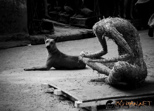 Най-интересните сниМки за днес - 10.06.2010 г.