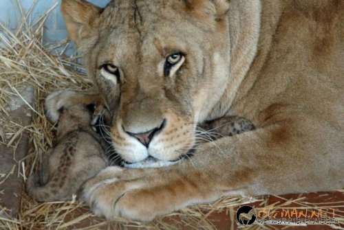 Най-интересните сниМки за днес - 10.06.2010 г.