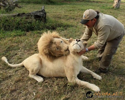 Най-интересните сниМки за днес - 10.06.2010 г.