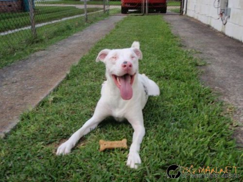 Най-интересните сниМки за днес - 10.06.2010 г.