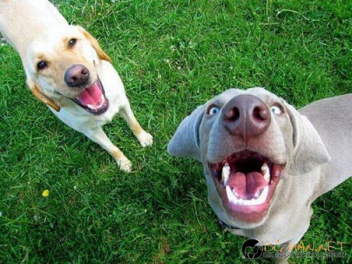 Най-интересните сниМки за днес - 10.06.2010 г.