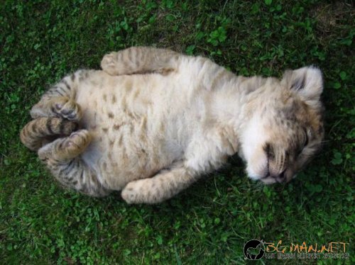 Най-интересните сниМки за днес - 10.06.2010 г.