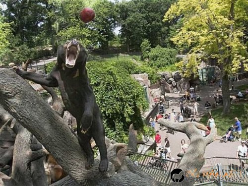 Най-интересните сниМки за днес - 10.06.2010 г.