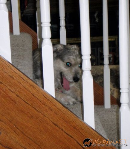 Най-интересните сниМки за днес - 10.06.2010 г.