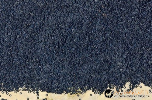 Най-интересните сниМки за днес - 10.06.2010 г.