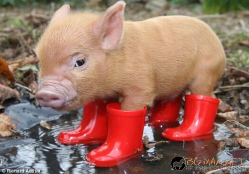 Най-интересните сниМки за днес - 10.06.2010 г.