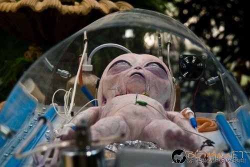 Най-интересните сниМки за днес - 10.06.2010 г.