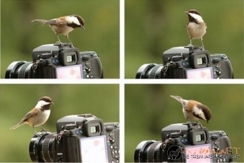 Най-интересните сниМки за днес - 10.06.2010 г.