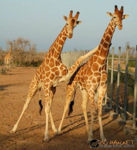 Най-интересните сниМки за днес - 10.06.2010 г.