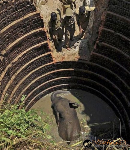 Най-интересните сниМки за днес - 10.06.2010 г.