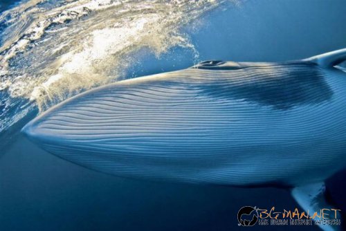 Най-интересните сниМки за днес - 10.06.2010 г.