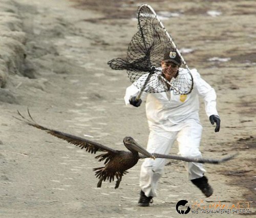 Най-интересните сниМки за днес - 10.06.2010 г.