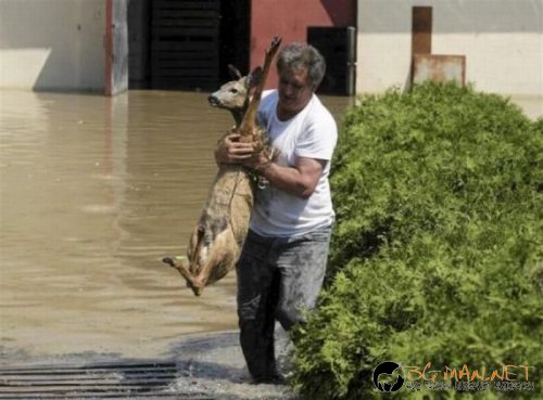 Най-интересните сниМки за днес - 10.06.2010 г.