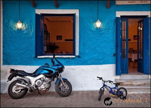 Най-интересните сниМки за днес - 10.06.2010 г.