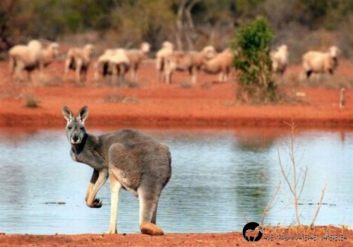 Най-интересните сниМки за днес - 11.06.2010 г.