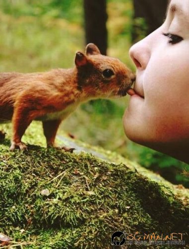 Най-интересните сниМки за днес - 11.06.2010 г.