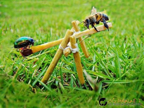 Най-интересните сниМки за днес - 11.06.2010 г.