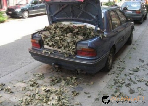 Най-интересните сниМки за днес - 11.06.2010 г.