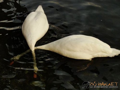 Най-интересните сниМки за днес - 11.06.2010 г.