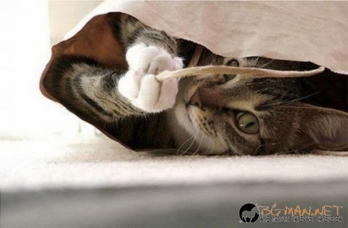 Най-интересните сниМки за днес - 11.06.2010 г.