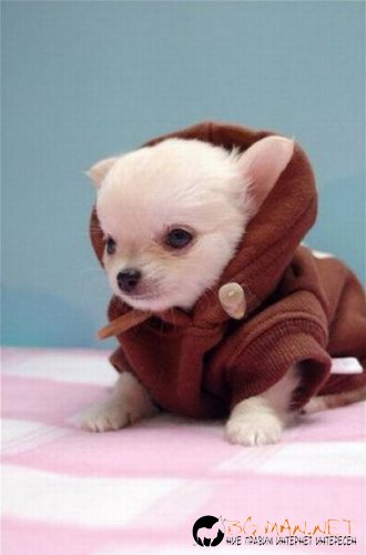 Най-интересните сниМки за днес - 11.06.2010 г.