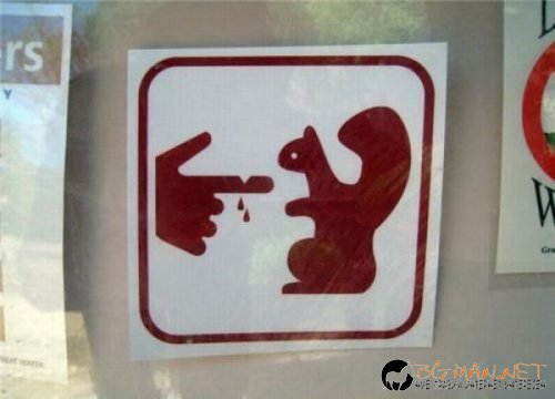 Най-интересните сниМки за днес - 11.06.2010 г.