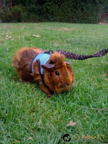 Най-интересните сниМки за днес - 11.06.2010 г.