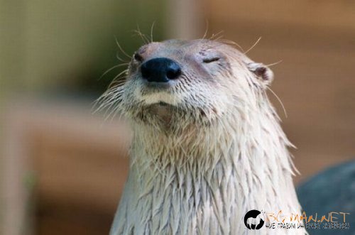 Най-интересните сниМки за днес - 11.06.2010 г.