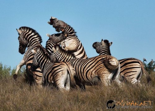 Най-интересните сниМки за днес - 11.06.2010 г.