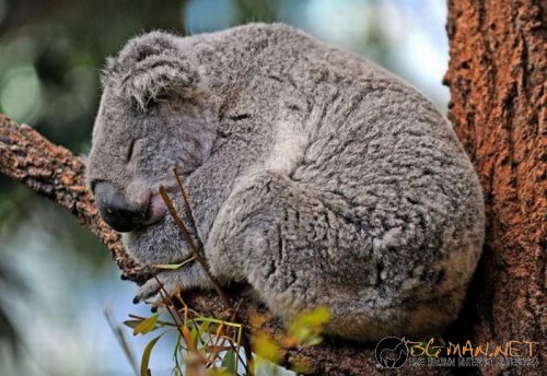 Най-интересните сниМки за днес - 11.06.2010 г.
