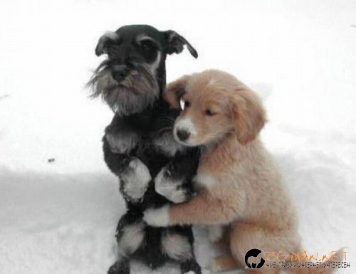 Най-интересните сниМки за днес - 11.06.2010 г.