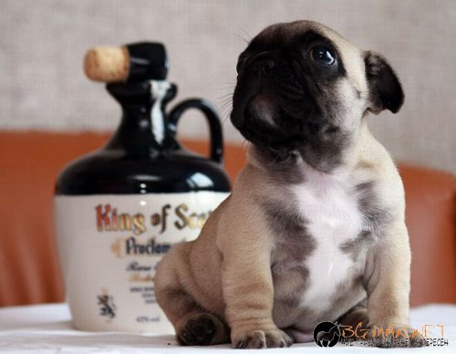 Най-интересните сниМки за днес - 11.06.2010 г.