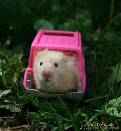 Най-интересните сниМки за днес - 11.06.2010 г.