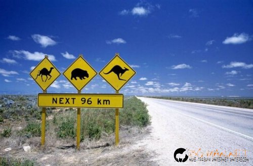 Най-интересните сниМки за днес - 11.06.2010 г.