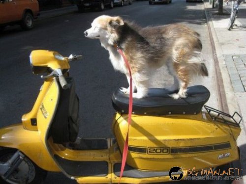 Най-интересните сниМки за днес - 11.06.2010 г.