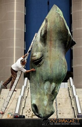 Най-интересните сниМки за днес - 11.06.2010 г.