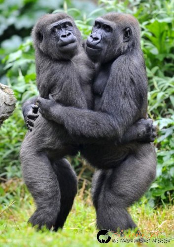 Най-интересните сниМки за днес - 11.06.2010 г.