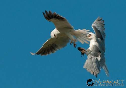 Най-интересните сниМки за днес - 11.06.2010 г.