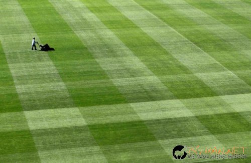 Най-интересните сниМки за днес - 11.06.2010 г.