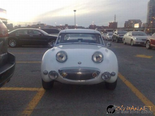 Най-интересните сниМки за днес - 11.06.2010 г.