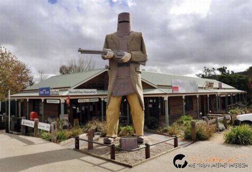 Най-интересните сниМки за днес - 11.06.2010 г.